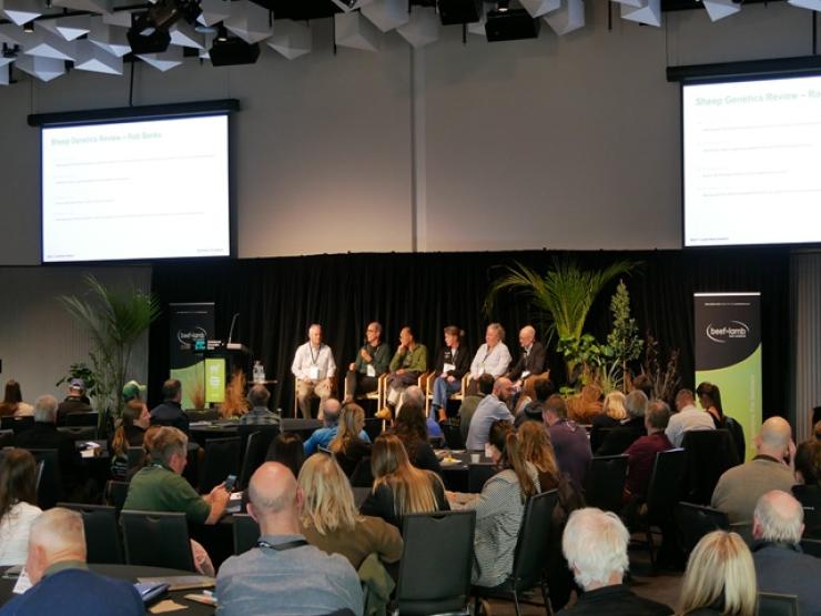 Sheep breeder forum