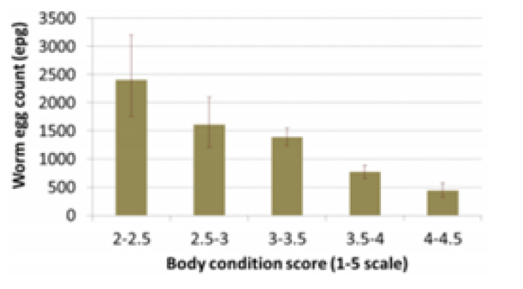 Source: Kahn et al WAAVP 2023 (Merino ewes)