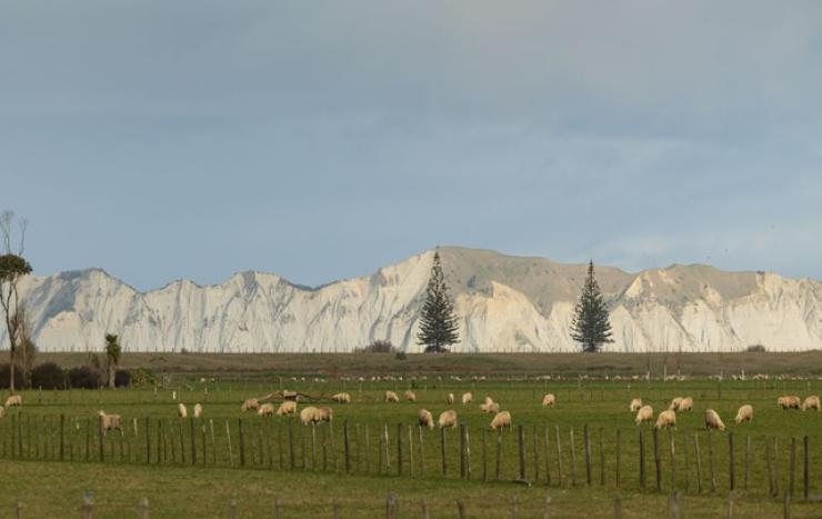 Mountains