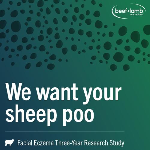 We want your sheep poo