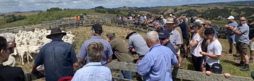 image of field day in the yards