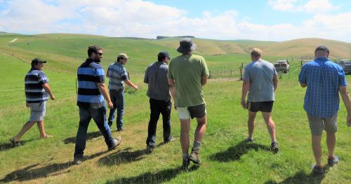 Image of farmers in field 