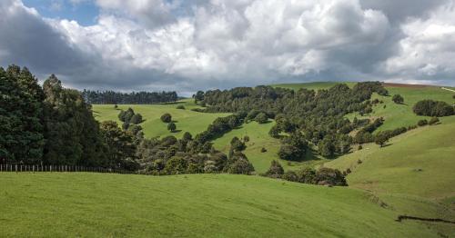 image of nz farm and forestry