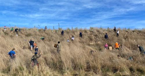 picture of catchment group cleaning up area