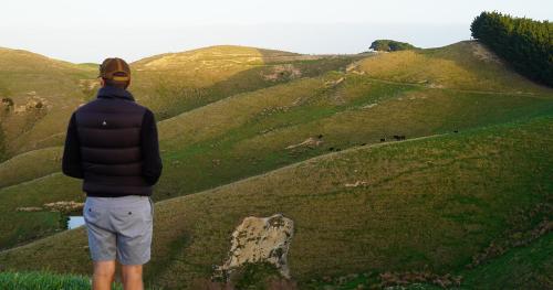 image of man overlooking hill country at dawn