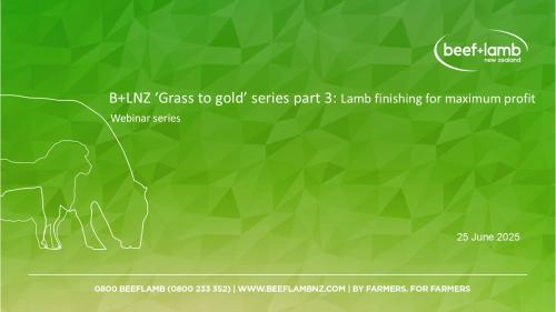 Grass to gold part 3