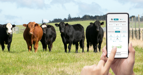 image of phone using Nprove infront of herd