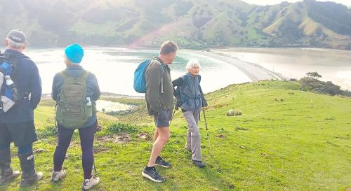 Cable bay walkers