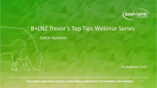 Cattle systems