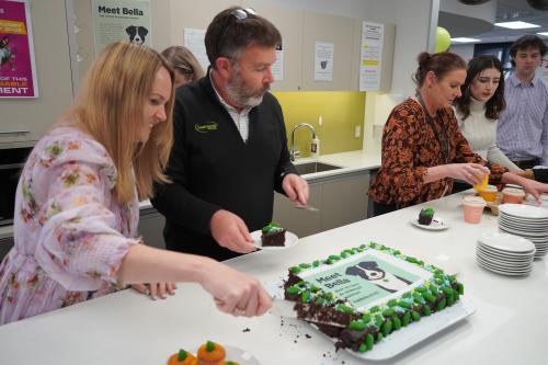 image of staff cutting bella cake