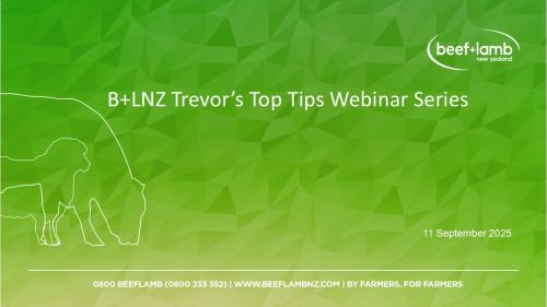 Webinar series Trevor top tips