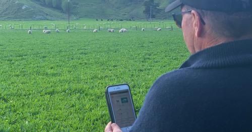 image of man using phone in field