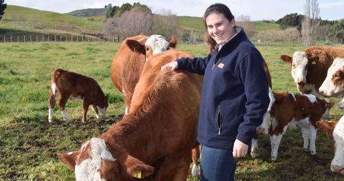 image of Amy Hoogenboom patting cattle