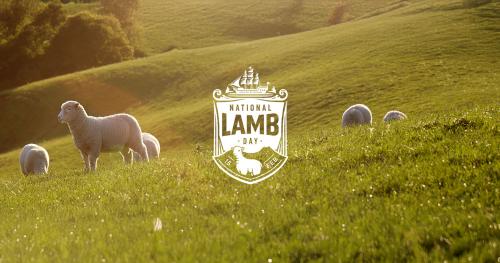 image of sheep and lambs on summer lit farm with National Lamb logo