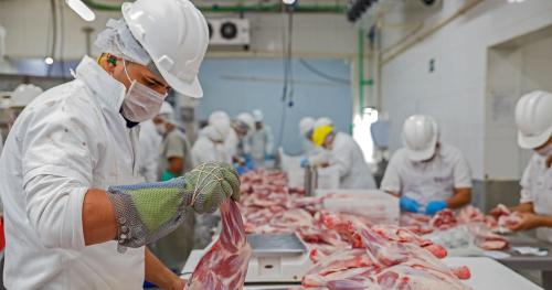 image of red meat exports being sorted 