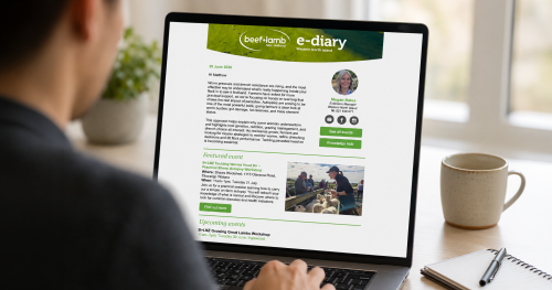 image of person at computer looking at e-diary on screen