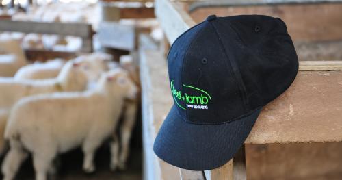image of B+LNZ branded hat infront of sheep yard