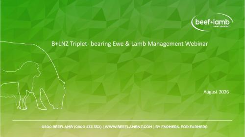 Triplet-bearing ewe management webinar