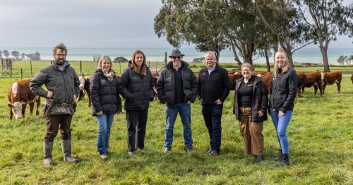 image of cool beef team on farm infront of cows