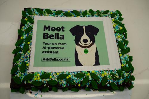 Image of Bella cake