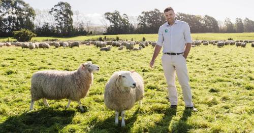 Image of Ryan with two sheep