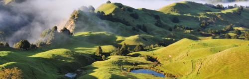 environment