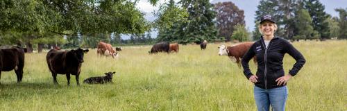 gemma jenkins gemma jenkins