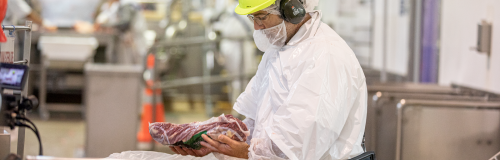 meat processing meat processing