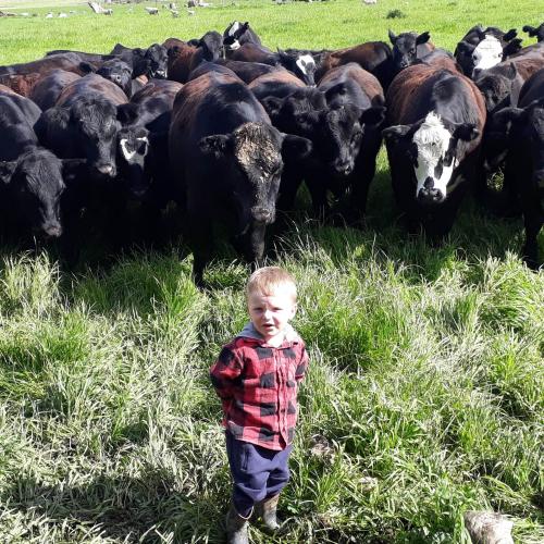 image of young boy image of young boy