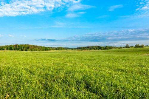 Greener Pastures: Priorities for a low-footprint, high-value food producing future