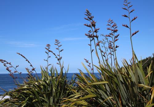 Methods for monitoring progress of biodiversity work, with Professor David Norton
