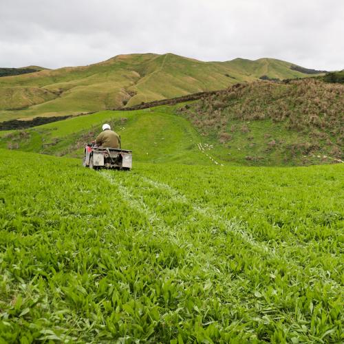 Fertiliser: Getting Bang for your Buck, with Dr Robert McBride and Dr Ants Roberts