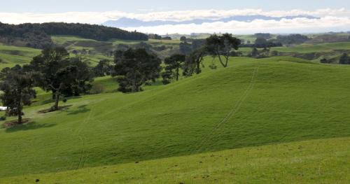 image of green pastures fertiliser