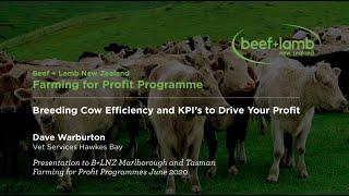 Breeding Cow Efficiency to Drive Your Profit
