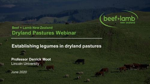 establishing-legumes