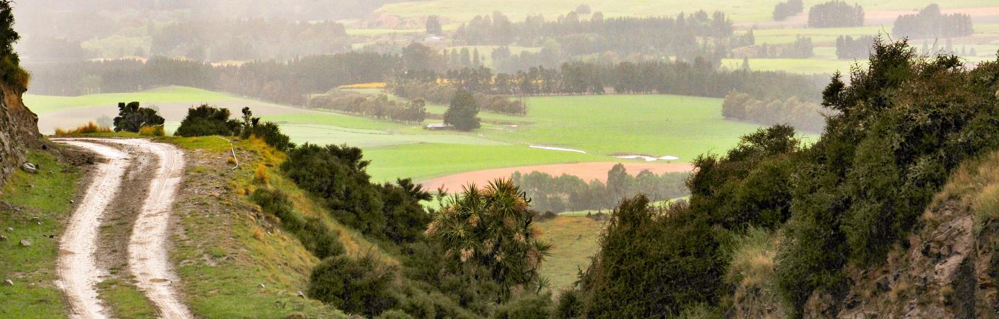 紐西蘭肉品局成立「未來牧場」Future Farm