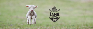 image of baby lamb and lamb day logo