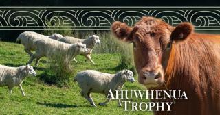 image of ahuwhenua trophy  banner with sheep and cow