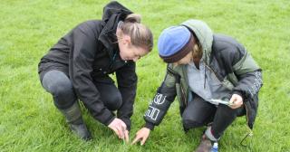 image of two women testing grass