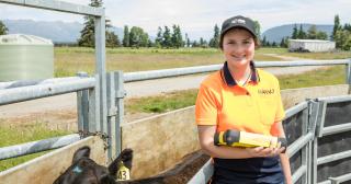 image of Bella in Pamu uniform in stock yards