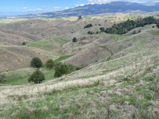 image of Te Pahu monitor farm