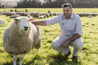 imaeg of Ryan Luckman with sheep