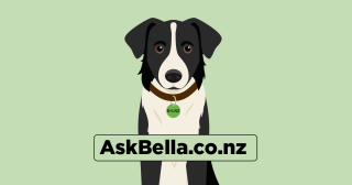 image of Bella the AI assistant dog and ask Bella web address