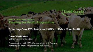 Breeding Cow Efficiency to Drive Your Profit