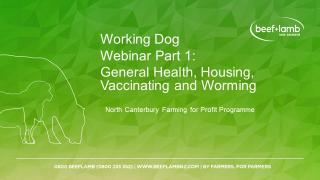 cover page for Working Dogs webinar