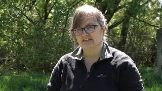 Thomson's Creek Catchment Community Project