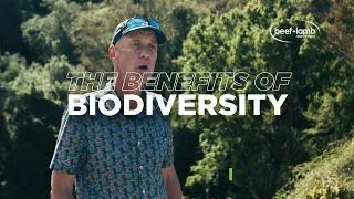 What are the benefits of biodiversity on your farm? Professor David Norton explains