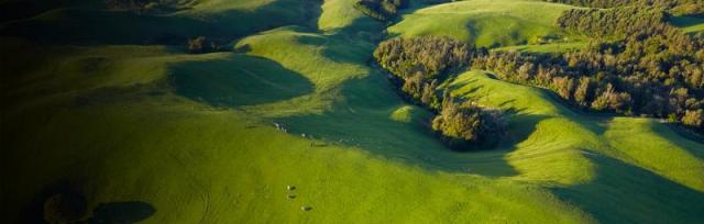 Aerial image of green fields