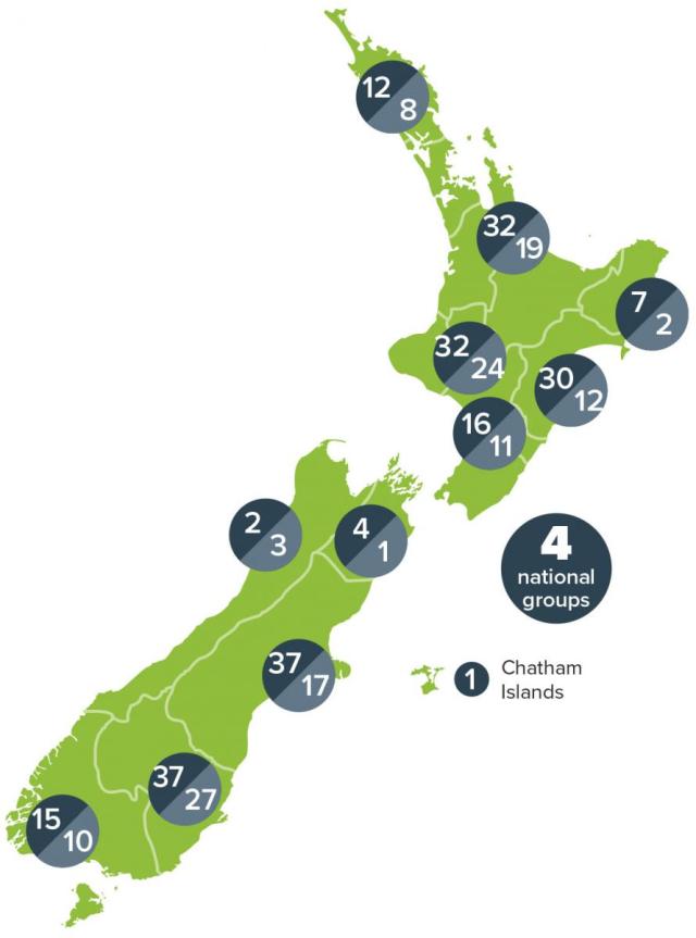 FurtherInsights-NZMap-Mar2021.jpg