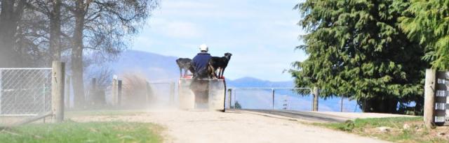 farmer on a quad bike